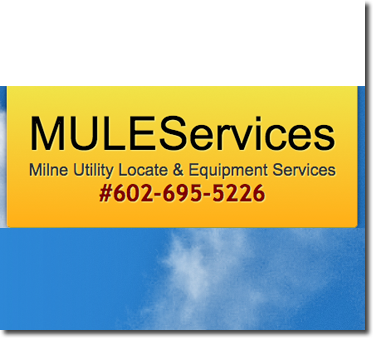 MULE Services